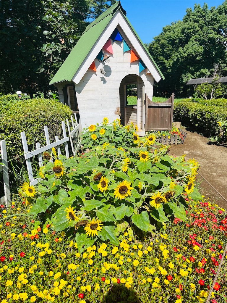 f:id:kayo1228:20220820024143j:image