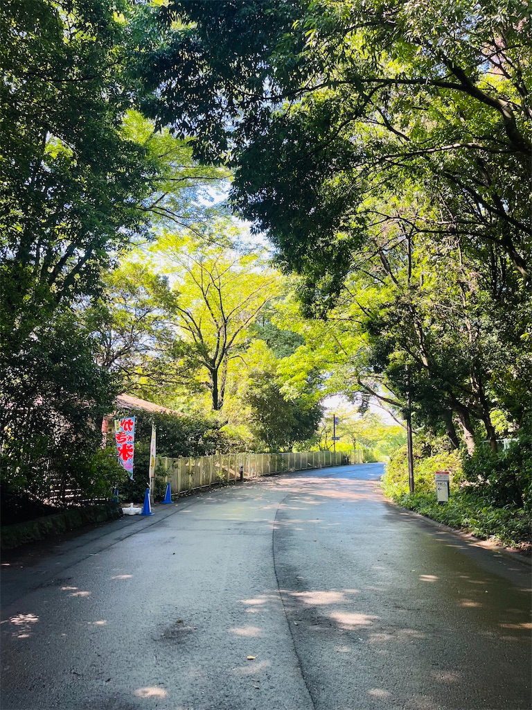 f:id:kayo1228:20220820101207j:image