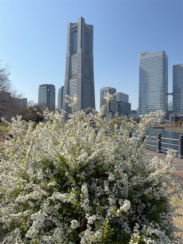 f:id:kayo1228:20260323010956j:image