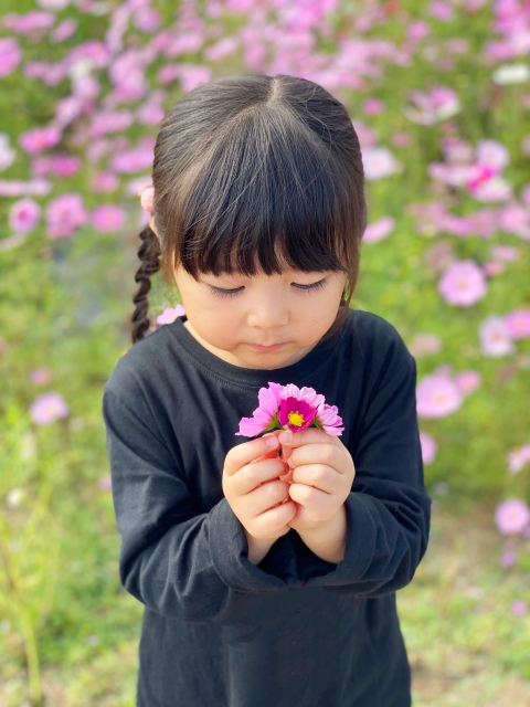 f:id:kayoka_yo:20200515081900j:plain