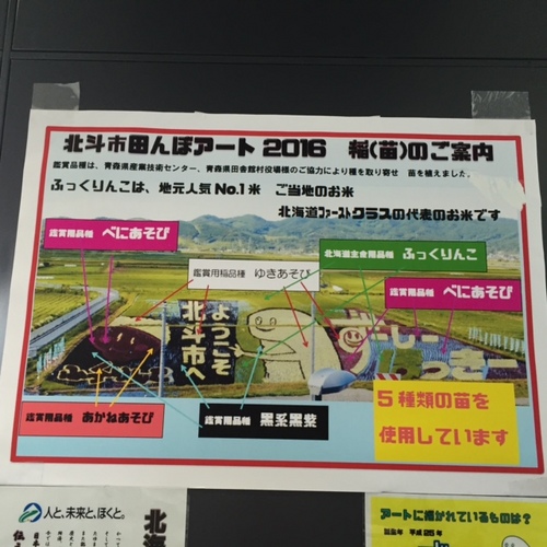 20160826 3.jpg