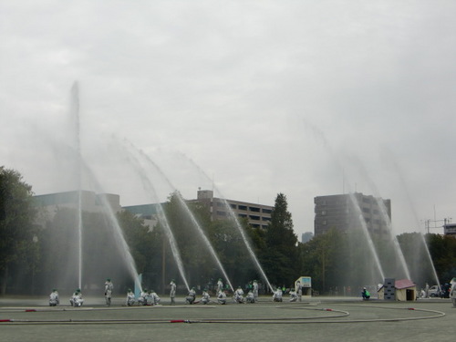 CIMG0619.JPG