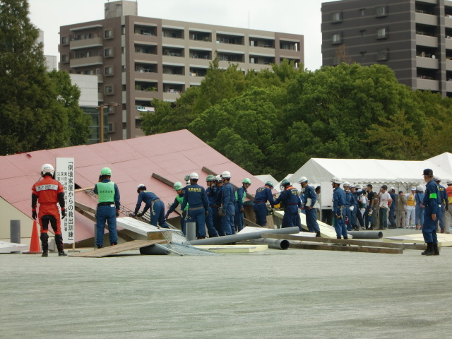 CIMG0494.JPG