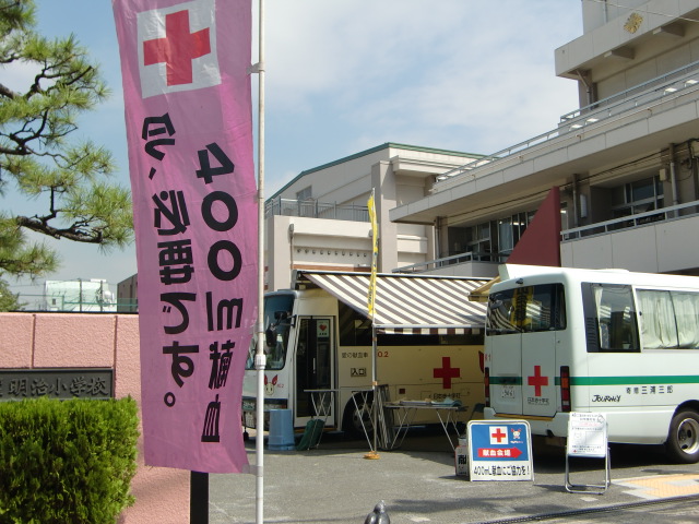 CIMG0511.JPG