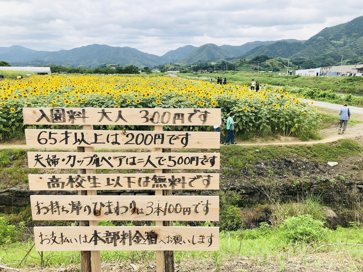 f:id:kayoko_cafe:20200622223019j:plain