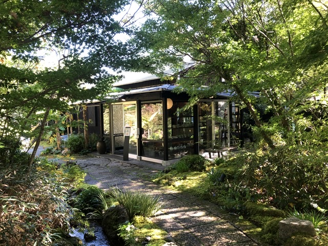 f:id:kayoko_cafe:20201115002740j:plain