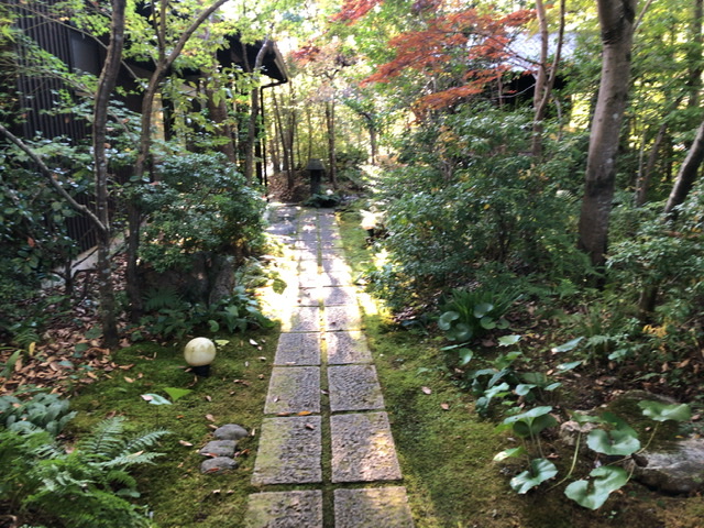 f:id:kayoko_cafe:20201115010017j:plain