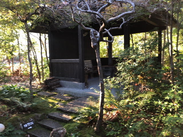 f:id:kayoko_cafe:20201115011535j:plain