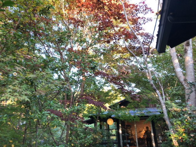 f:id:kayoko_cafe:20201115011718j:plain