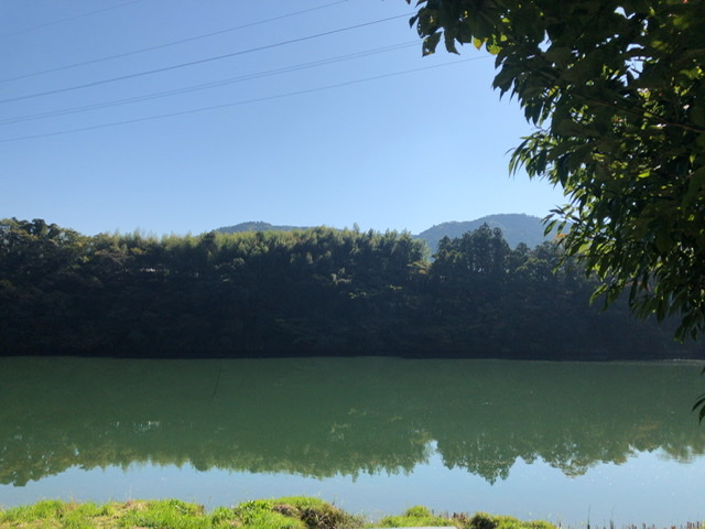 f:id:kayoko_cafe:20201115151158j:plain