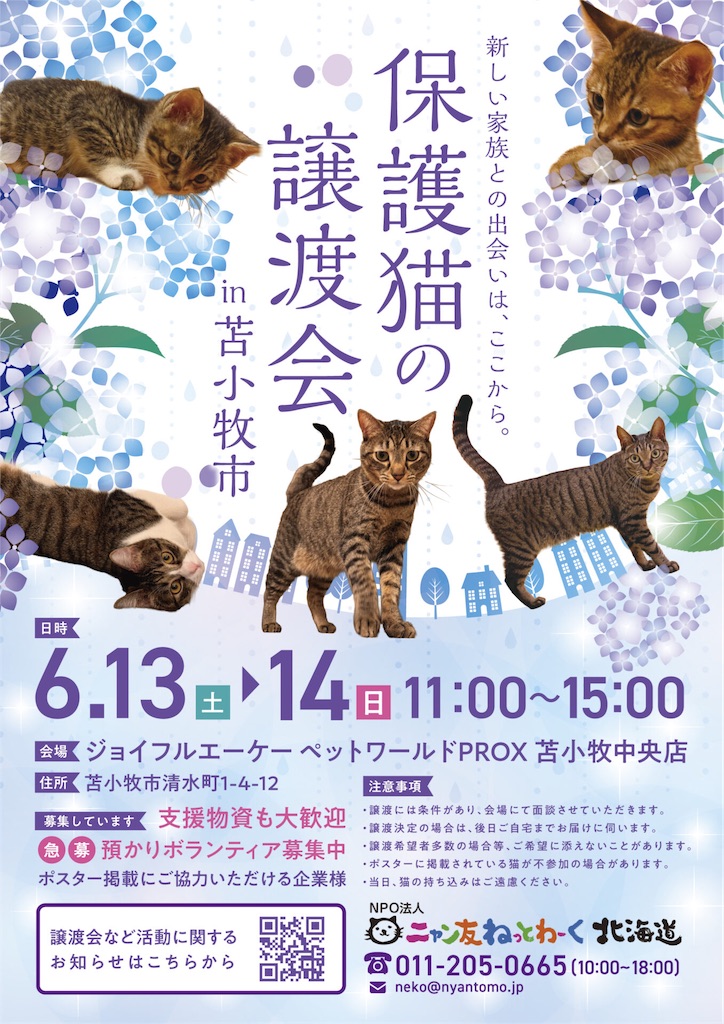 f:id:kayoko_nya:20260609002811j:image
