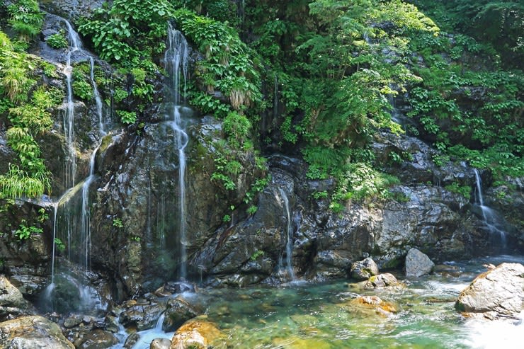 五十沢渓谷（三国川渓谷）・虹の滝 】 新潟県南魚沼市 - 滝と渓谷
