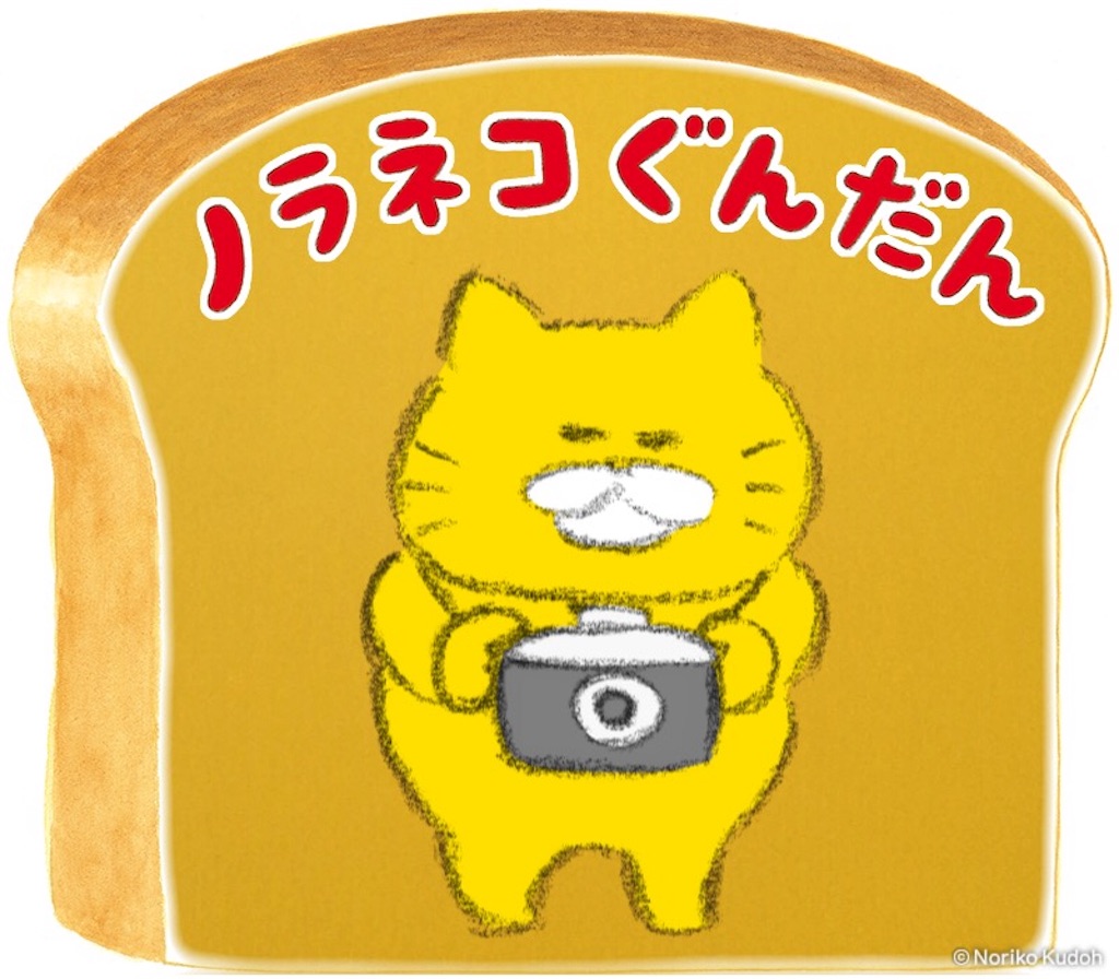 f:id:kayoroom557:20190513213937j:image f:id:kayoroom557:20190513213937j:image