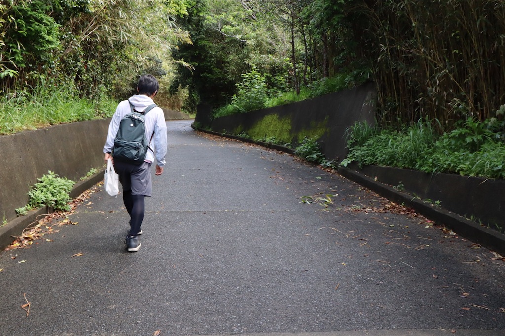 f:id:kayoroom557:20190725084744j:image