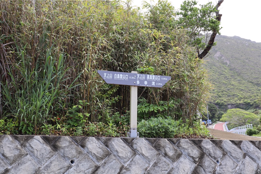 f:id:kayoroom557:20190725084826j:image