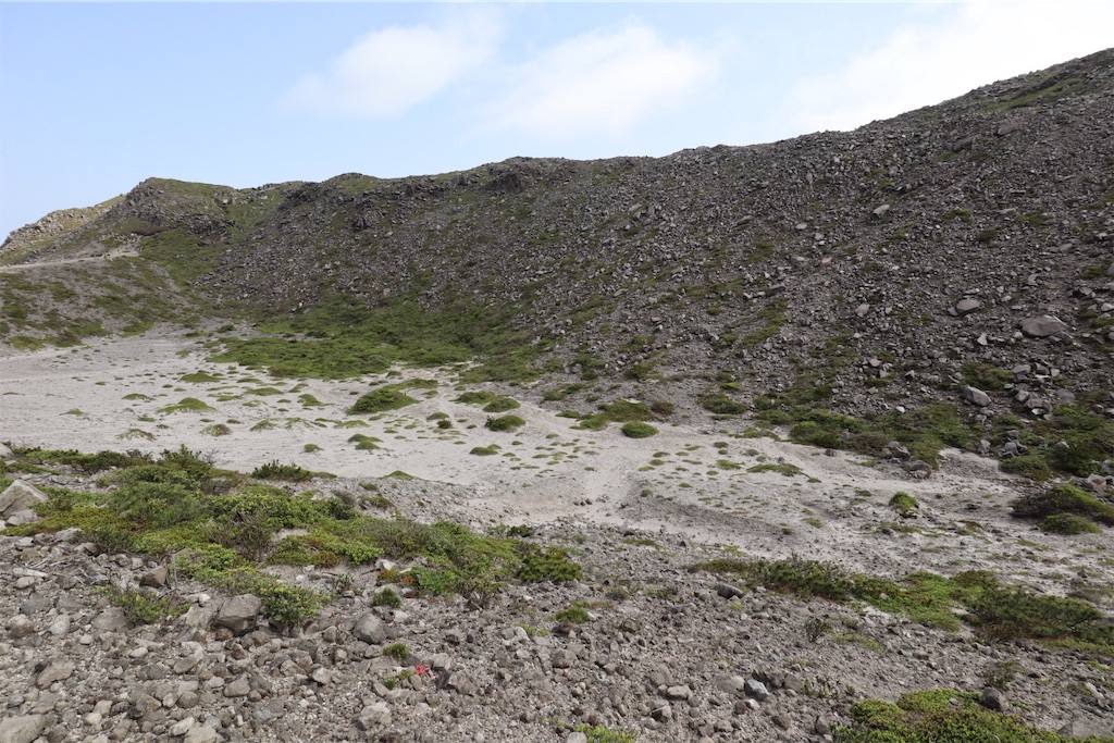 f:id:kayoroom557:20190725085034j:image