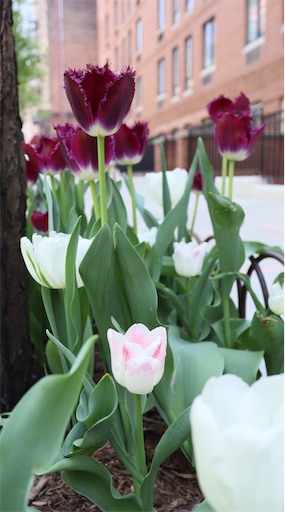 f:id:kayoroom557:20210502131136j:image