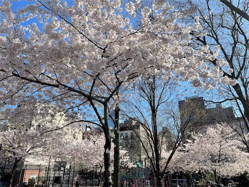 f:id:kayoroom557:20210502134824j:image