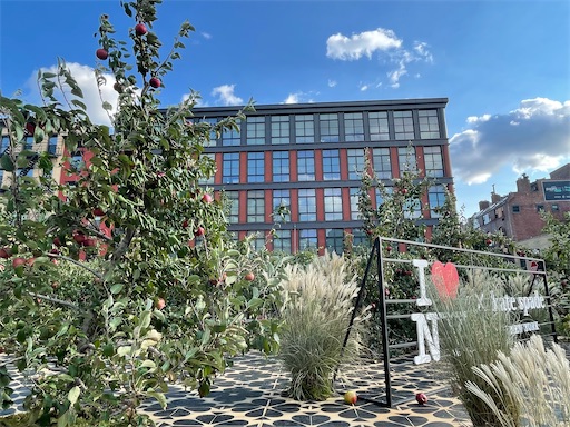 f:id:kayoroom557:20210911114529j:image