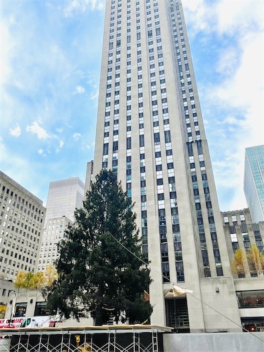 f:id:kayoroom557:20211114090335j:image