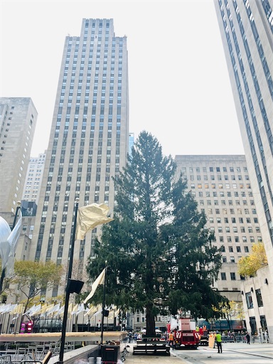 f:id:kayoroom557:20211114090337j:image