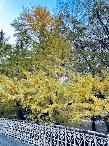 f:id:kayoroom557:20211123114755j:image