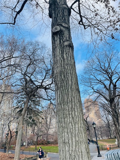 f:id:kayoroom557:20220101054215j:image