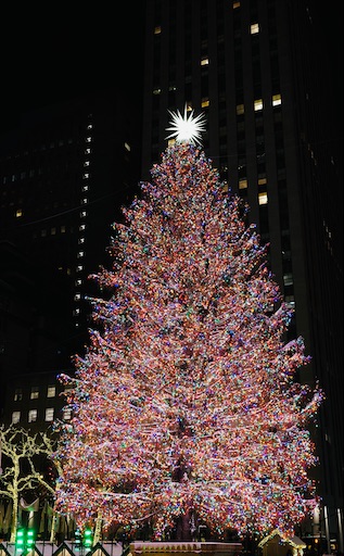 f:id:kayoroom557:20220112214214j:image