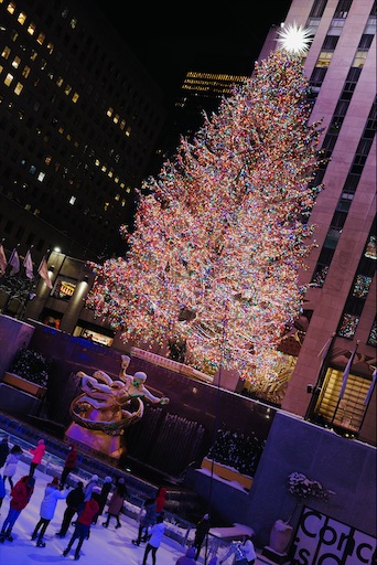 f:id:kayoroom557:20220112214229j:image
