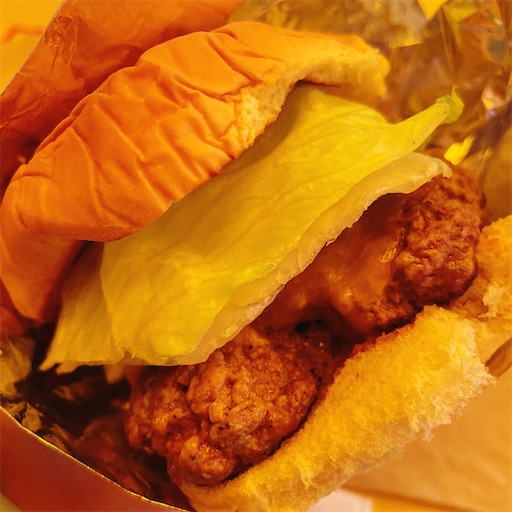 f:id:kayoroom557:20220113091333j:image