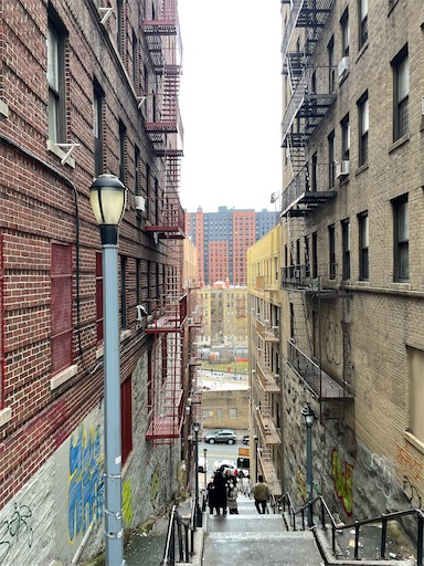 f:id:kayoroom557:20220115070229j:image