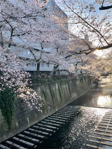 f:id:kayoroom557:20220409202247j:image