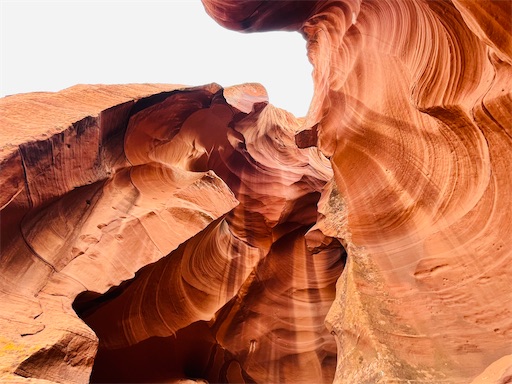 f:id:kayoroom557:20220418095753j:image