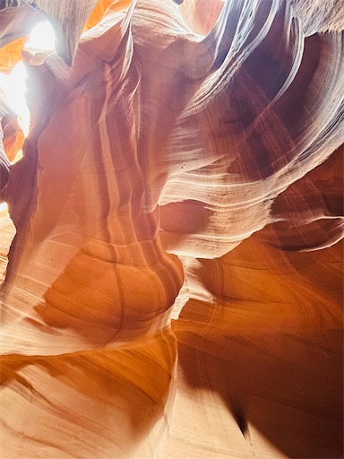 f:id:kayoroom557:20220418100818j:image