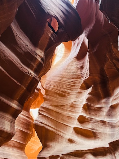 f:id:kayoroom557:20220418100824j:image