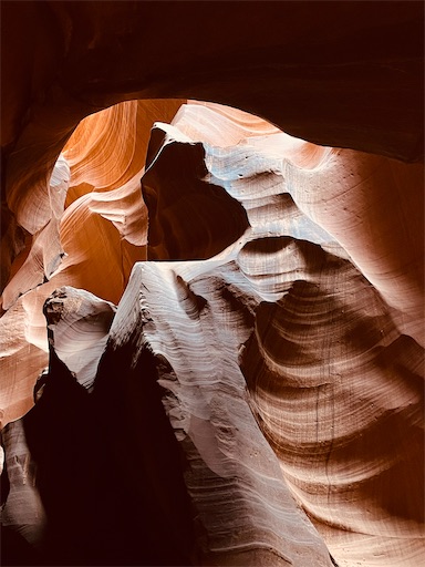 f:id:kayoroom557:20220418100827j:image