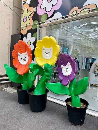 f:id:kayoroom557:20220423214048j:image