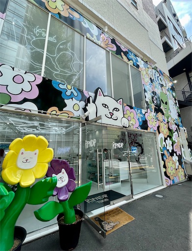 f:id:kayoroom557:20220423214058j:image