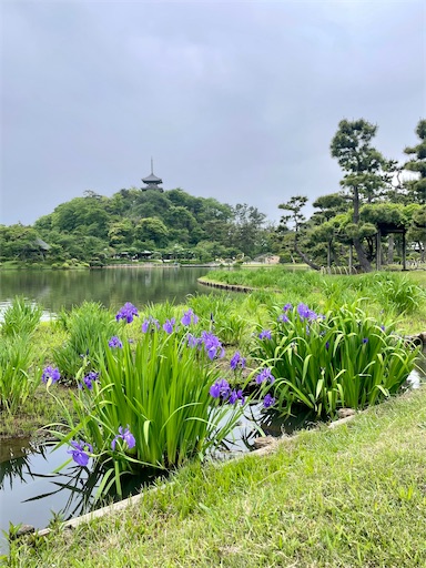 f:id:kayoroom557:20220507233005j:image