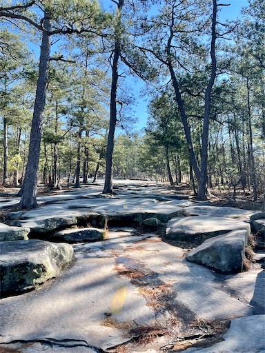 f:id:kayoroom557:20220516195942j:image