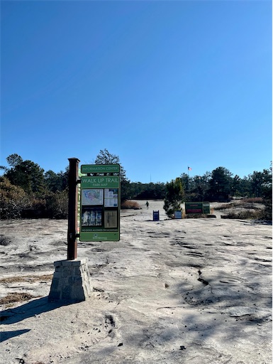 f:id:kayoroom557:20220516200018j:image