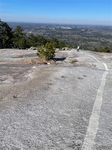 f:id:kayoroom557:20220516200026j:image