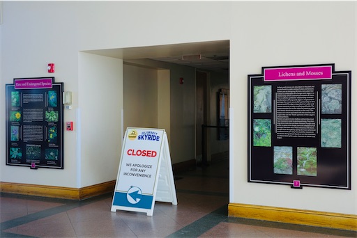 f:id:kayoroom557:20220516200038j:image