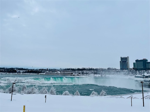 f:id:kayoroom557:20220612184152j:image