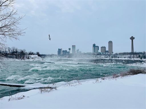 f:id:kayoroom557:20220612184222j:image