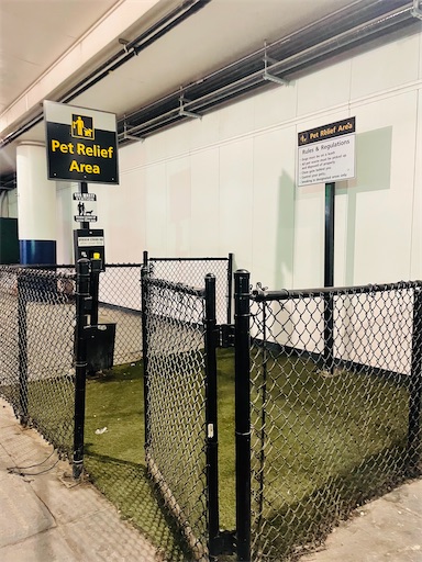 f:id:kayoroom557:20220612184234j:image