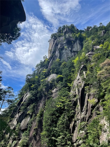 f:id:kayoroom557:20220814161138j:image