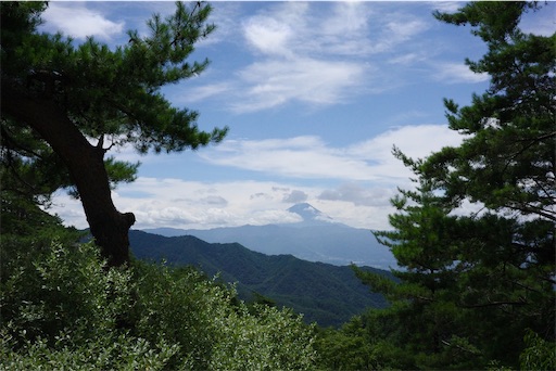 f:id:kayoroom557:20220814161141j:image