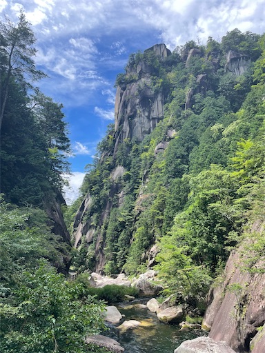 f:id:kayoroom557:20220814161156j:image