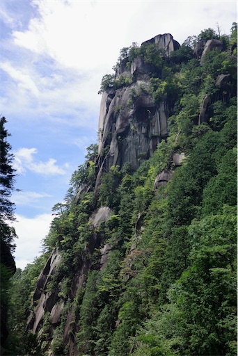 f:id:kayoroom557:20220814161159j:image